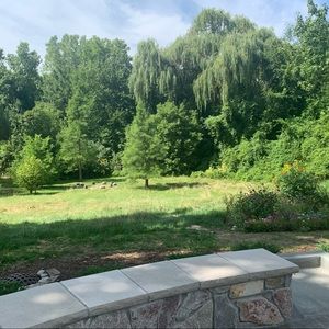 Meet your Posher, Ava